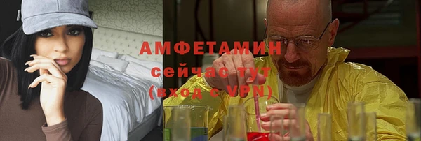 jwh Гвардейск