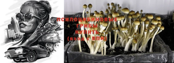 сатива Протвино